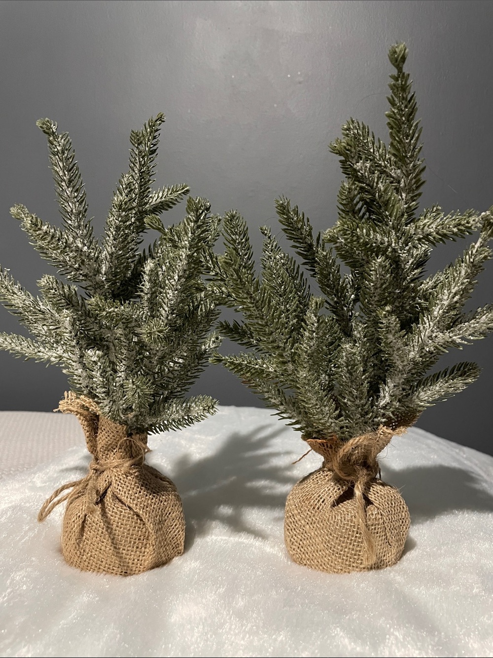 Mini Frosted Artificial Pine Trees with Burlap Base set of two